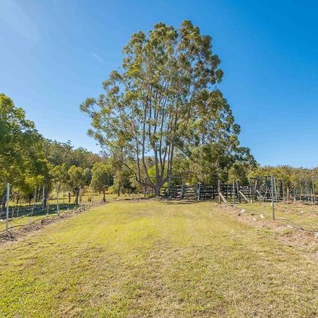 Villa Widgereedoo Farm. Vineyard Views. Peaceful Retreat. Tamaree Exterior foto